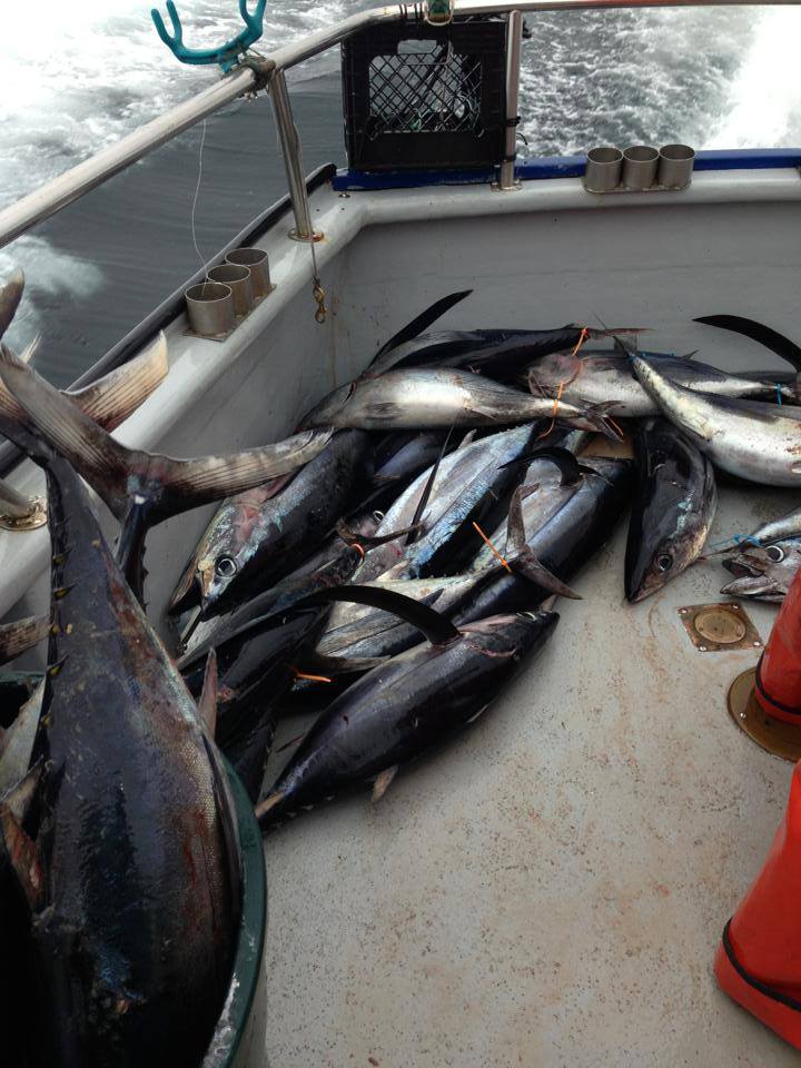 Fishing Charter of San Francisco Fishing Charter of San Francisco