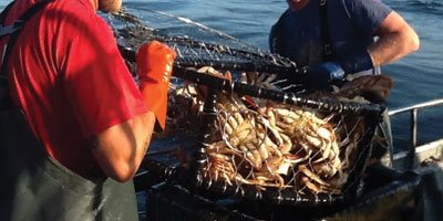 San Francisco Crab Fishing Charter